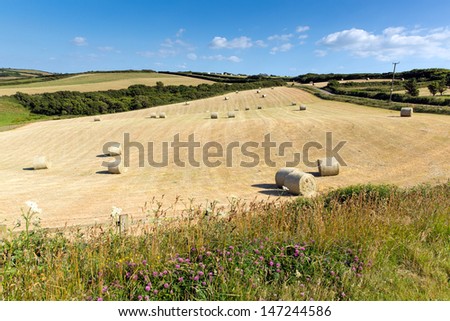 Cornwall country scene with hay bales like cotton reels on a beautiful summer day