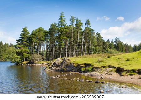 The most beautiful small lake in the Lakes Tarn Hows on a beautiful sunny summer day