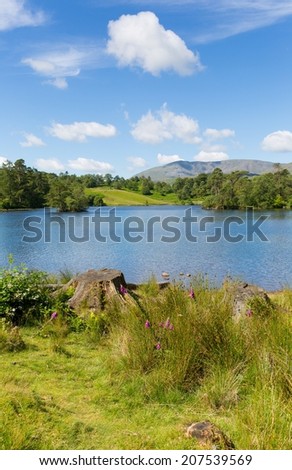 Tarn Hows near Hawkshead Lake District National Park England uk on a beautiful sunny summer day with no rain!