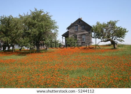 horizontal rustic farmhouse in summer
