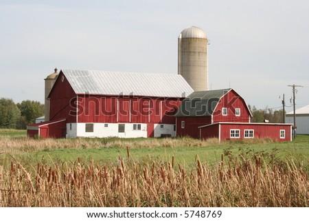 red Wisconsin dairy barn in fall