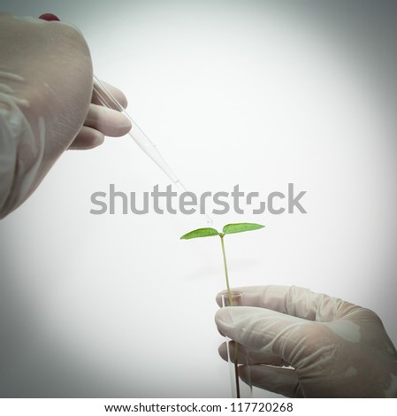 Seedling on test-tube in hand