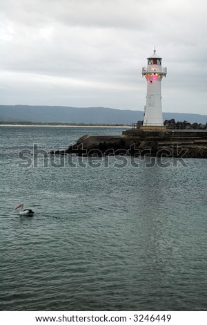 white lighthouse on australian coastline, bird in foreground