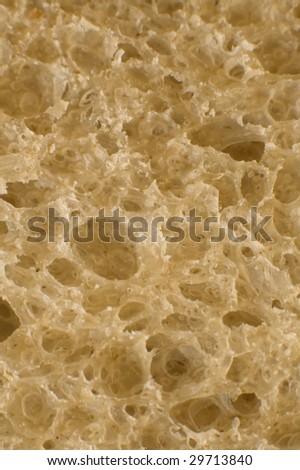 detail macro pfoto of fresh bread, detail structure