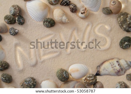 word NEWS written in sand, several sea shells surrounding it