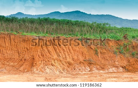Soil under in cassava farm. Condition of the erosion as the cliff by human