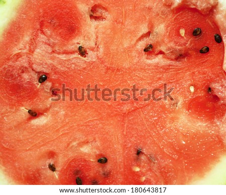 A fresh sugar red watermelon close up