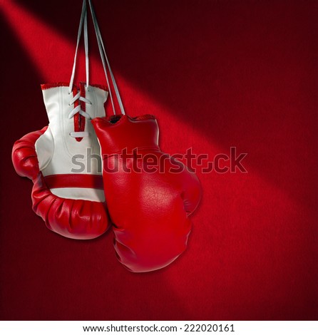 Red and White Boxing Gloves / Pair of red and white boxing gloves hanging on red velvet wall with shadows