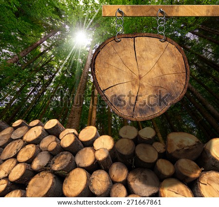 Lumber Industry Sign. Trunks of trees cut and stacked and empty wooden sign, a section of tree trunk, hanging with metal chain on a wooden pole with green forest in the background with sun rays