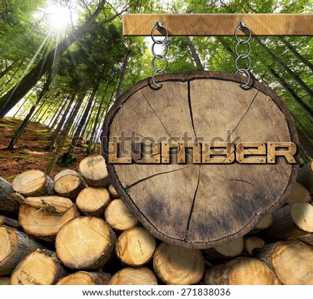 Wooden Logs with Forest and Lumber Sign. Trunks of trees cut and stacked and wooden sign with text lumber, hanging with metal chain on a wooden pole with green forest in the background with sun ray