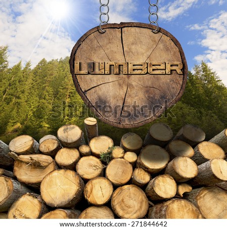 Wooden Logs - Forest and Lumber Sign. Trunks of trees cut and stacked and wooden sign, section of tree trunk with text lumber, hanging with metal chain. A green forest in the background with sun rays