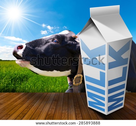 Milk Carton in Countryside with Cow / White packaging of fresh milk with text Milk, in a countryside landscape with green grass and a close up of a black and white cow mooing