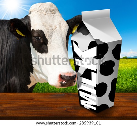 Milk Carton in Countryside with Cow / White packaging of fresh milk with text Milk and black spots, in a countryside landscape with green grass and a close up of a black and white curious cow.