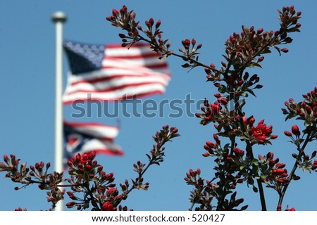 United States and Ohio flags off-focus behind half wreath branch of red buds and flowers