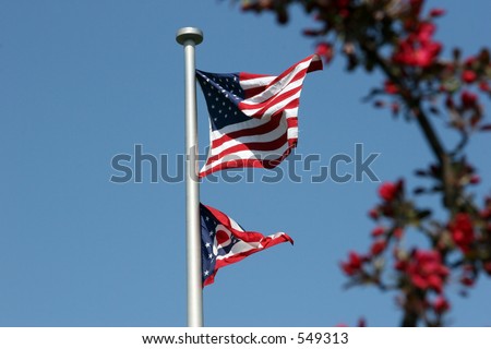 United States and Ohio flags in-focus behind half wreath branch of red buds and flowers off-focus