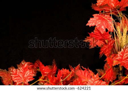 Centerpiece of autumn items on background of black micro velvet