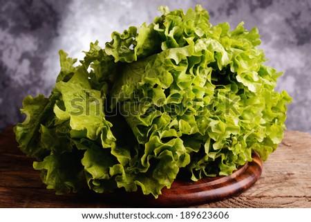 Roman salad lettuce green leaves
