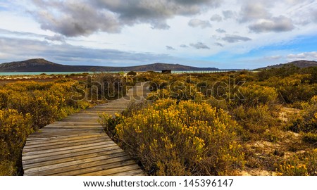 Boardwalk / West Coast National Park, Western Cape, South Africa