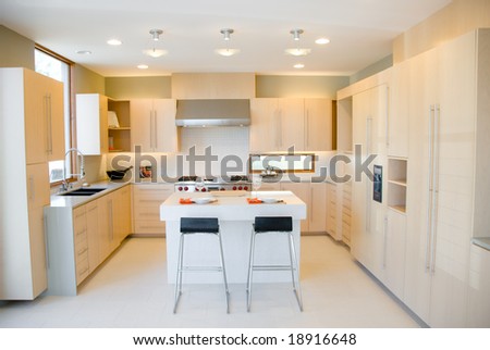 Modern Kitchen Design with High End Appliances and Birch Wood