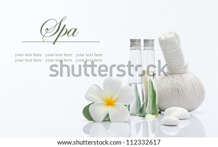 spa theme object on white background. banner. lots of copy space