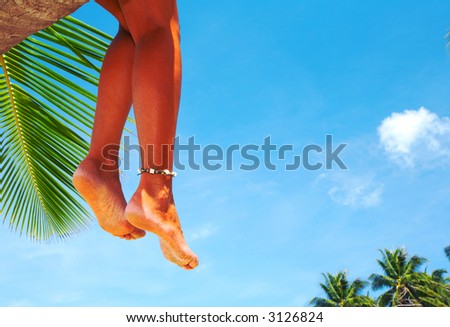 view of nice smooth woman’s legs hanging down from the palm