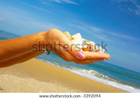 view of humans palms filled with some shells