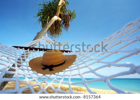 view of nice white hammock hanging between two palms