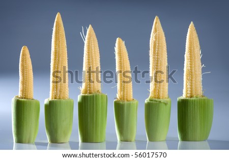 Close up view of nice fresh corn on gray  back