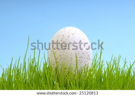 ester egg at the meadow