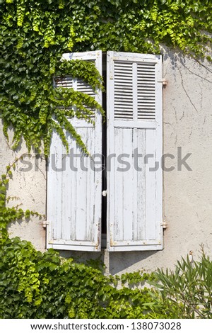 White aged shutters on a rustic wall framed by climbing plants