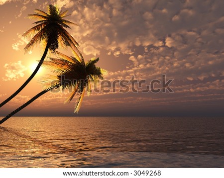 sunset on beach with palm trees. Sunset coconut palm trees