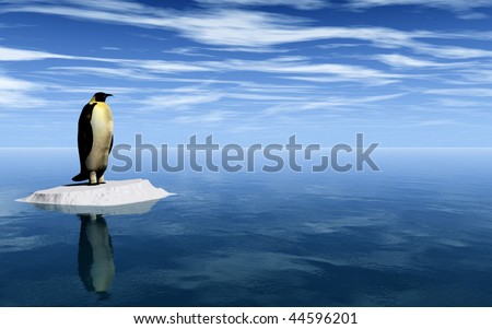 Penguin And Ice