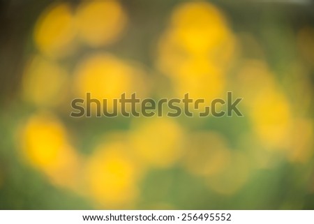 soft yellow background images