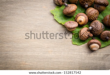 A naturalistic border with oak leaves and acorns over aged wood.