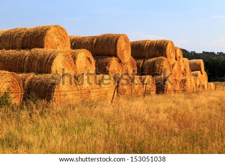 Hay bales dried, rolled and stacked on a ranch in western Montana at sunset.