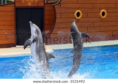 Dolphins jumping out of water at an amusement park
