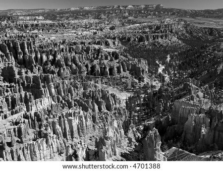 The Bryce Canyon National Park in Utah USA, in black and white