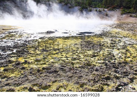 yellowstone national park volcano. Mud Volcano, Yellowstone