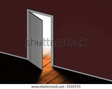 Light is coming through an open door, wooden floor