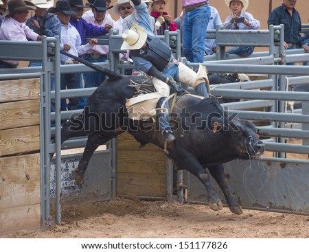 GALLUP , NEW MEXICO - AUGUST 10 : Cowboys Participates in a bull riding Competition at the 92nd annual Indian Rodeo in Gallup, NM on August 10 2013