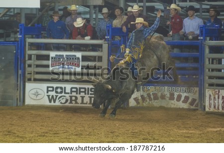 LOGANDALE , NEVADA - APRIL 10 : Cowboy Participating in a Bull riding Competition at the Clark County Fair and Rodeo a Professional Rodeo held in Logandale Nevada , USA on April 10 2014