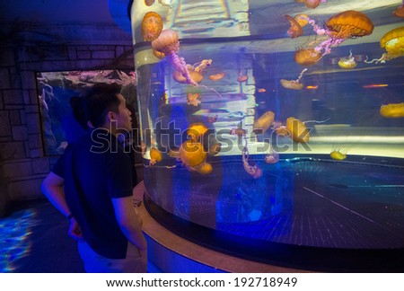 LAS VEGAS - MAY 12 : The Shark Reef Aquarium at Mandalay Bay hotel and casino in Las Vegas on May 12 , 2014. The Shark Reef Aquarium is comprised of nearly 1.6 million gallons of water.