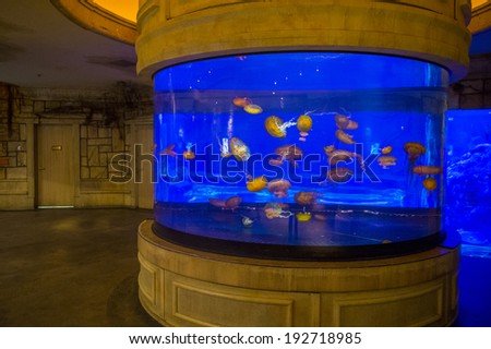 LAS VEGAS - MAY 12 : The Shark Reef Aquarium at Mandalay Bay hotel and casino in Las Vegas on May 12 , 2014. The Shark Reef Aquarium is comprised of nearly 1.6 million gallons of water.
