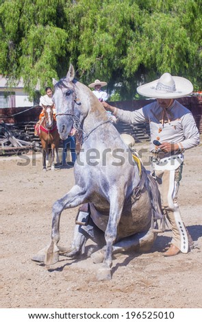 SAN DIEGO - MAY 03 : Charro perform with his horse at the Cinco De Mayo festival in San Diego CA . on May 3, 2014. Cinco De Mayo Celebrates Mexico\'s victory over the French on May 5, 1862.