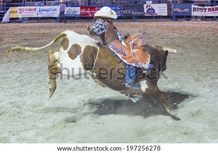 LAS VEGAS - MAY 16 : Cowboy Participating in a Bull riding Competition at the Helldorado days Rodeo , A professional Rodeo held in Las Vegas , Nevada on May 16 , 2014
