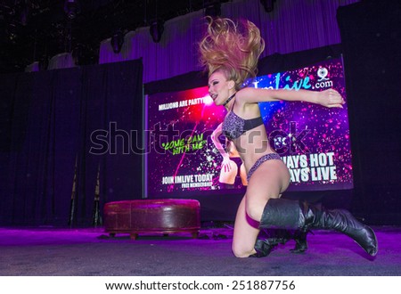 LAS VEGAS - JAN 23 : Dancer perform at the AVN Adult Entertainment Expo at the Hard Rock Hotel & Casino on January 23, 2015 in Las Vegas