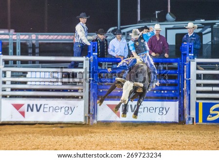 LOGANDALE , NEVADA - APRIL 10 : Cowboy Participating in a Bull riding Competition at the Clark County Fair and Rodeo a Professional Rodeo held in Logandale Nevada , USA on April 10 2015