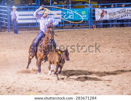 LAS VEGAS - MAY 16 : Cowboy Participating in a Calf roping Competition at the Helldorado days Rodeo , A Professional Rodeo held in Las Vegas, Nevada on May 16 2015