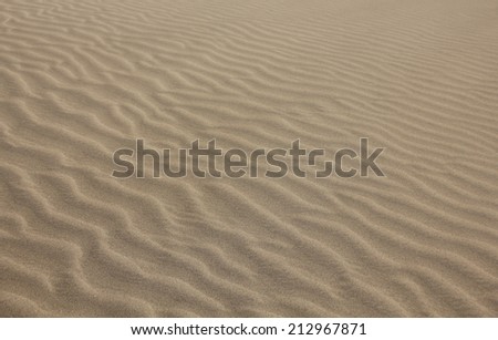 sand desert, background made of a close-up of the sand. Canary Islands