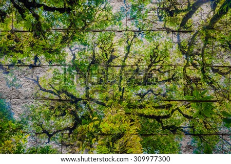 Stone wall background texture forest pattern grunge style